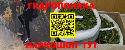 гидропоника Коммунар