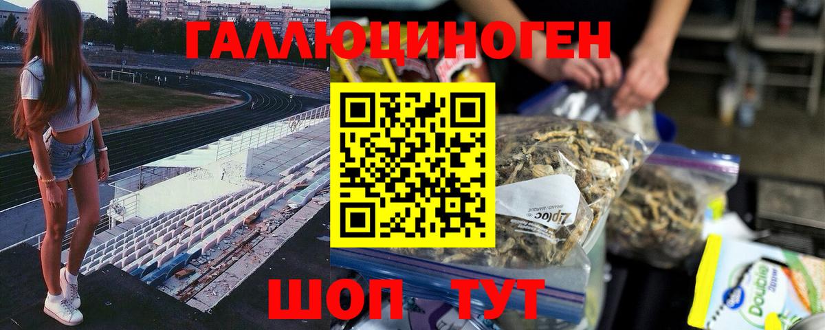 купить наркоту  Ялта  Галлюциногенные грибы Psilocybe 